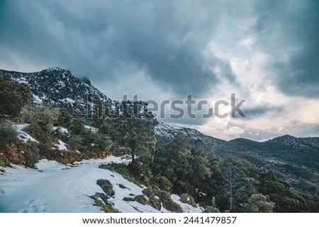 Tikjda is a tourist site located to the east of the wilaya of Bouira, at an altitude of 1,478 m in the heart of the Djurdjura mountain range.
a reserved structure, in addition to tourism. Royalty-Free Stock Photo #2441479857