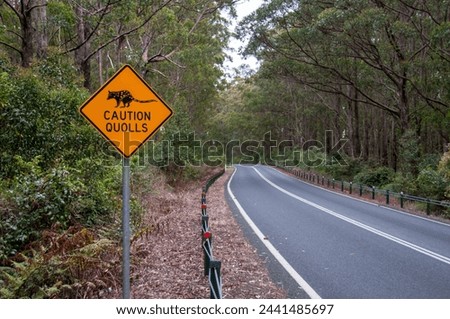 Quoll warning sign at a highway in Northern NSW, Australia