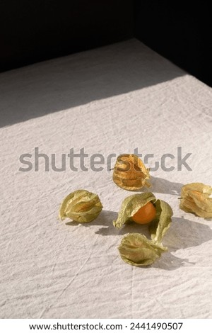 Minimalist aesthetic concept, physalis fruits on neutral beige linen background with bright sun light and harsh shadows.