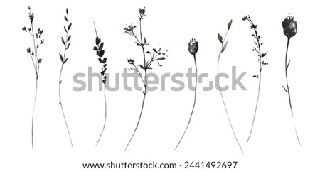 Watercolor painted floral set of black, gray, brown wild herbs, spikelets, branches, twigs. Hand drawn illustration. Traced vector watercolour clipart drawing.