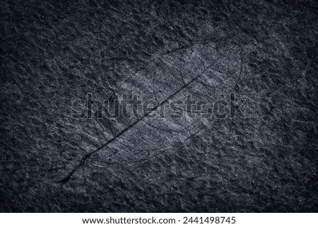 Leaf marks on  black slate stone background or texture