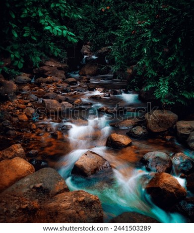 A Small stream in a forest long exposure photography