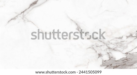 Ceramic Floor Tiles And Wall Tiles Natural Marble High Resolution Granite Surface Design For Italian Slab Marble Background. Royalty-Free Stock Photo #2441505099