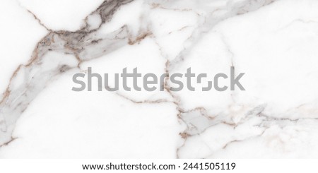 Ceramic Floor Tiles And Wall Tiles Natural Marble High Resolution Granite Surface Design For Italian Slab Marble Background. Royalty-Free Stock Photo #2441505119