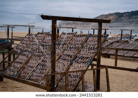 Local sun dried fish on wooden racks on the beach in Nazare, Portugal Travel photography. High quality photo. salted fishes sold on the beach, traditional market stall