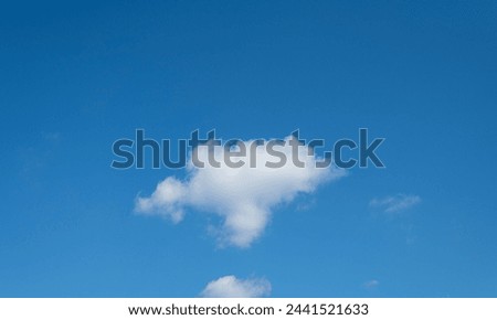 When I look up, I see a blue sky and white clouds