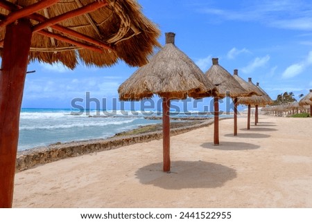 Mexico, Quintana Roo, Yucatan Peninsula, Port of Costa Maya, Akumal beach. Royalty-Free Stock Photo #2441522955