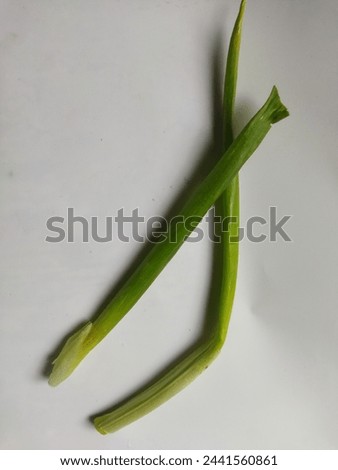 green onions, a typical Indonesian vegetable often used for cooking, white background