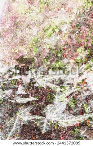 natural background, vegetation, uniform background, background for a postcard, texture, green vegetation, fantasy photo, spring in the park, spring background