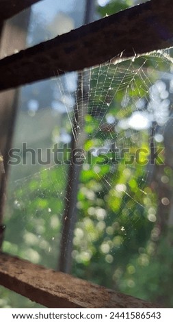 a small spider that is waiting for prey in its web