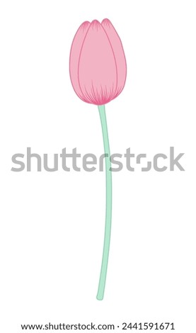 Tulip flower hand drawn line art illustration. Spring blossom, pink bloom, floral element. Vector design, isolated. Mothers Day, Easter, seasonal, botanical clip art