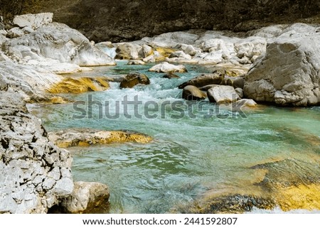 River with clear water in the forest