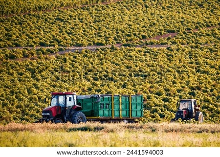 Two tractors in the vineyards of Alhambra