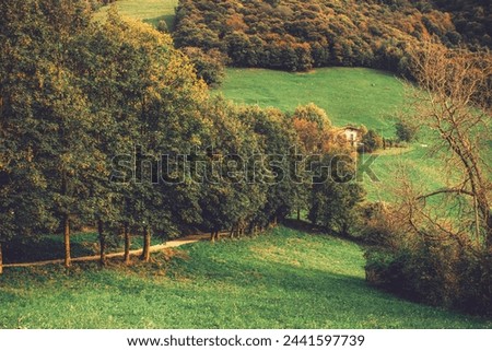 Italian mountains autumn forest trees  in the village