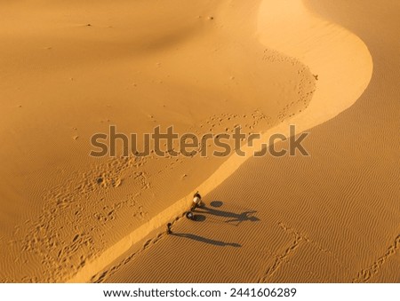 Aerial view of a peasant woman carries a bamboo frame on the shoulder across sand dunes in Ninh Thuan province, Vietnam. It is one of the most beautiful places in Vietnam for travel and photography Royalty-Free Stock Photo #2441606289