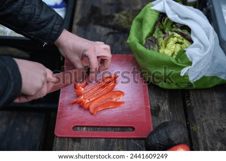 Cutting red peppers with knife on picnic table while camping at campground.  Avocado and lettuce also pictured.  Side view.  