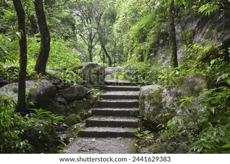 Stairs passing through a hill in Meghalaya. Hill tribal people uses them for regular activities.