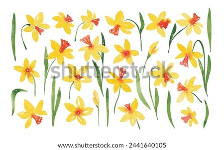 Yellow daffodils clip art hand drawn by watercolor. Spring flowers. For card, invite, logo, scrapbook and so on