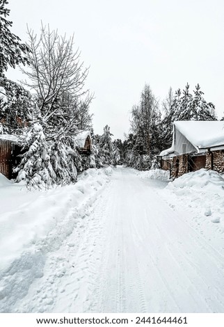 Snowy village: road, house and trees. Photo winter landscape.