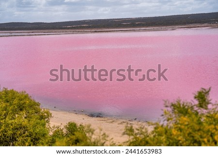 Colors and reflections of Pink Lake, Port Gregory. Western Australia.