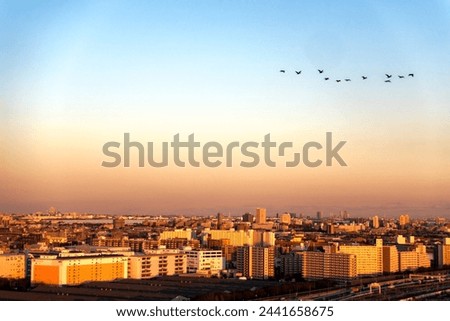 Aerial view of beautiful sunset with skyline and bird swarm at City of Tokyo on a sunny winter day. Photo taken January 29th, 2024, Tokyo, Japan.