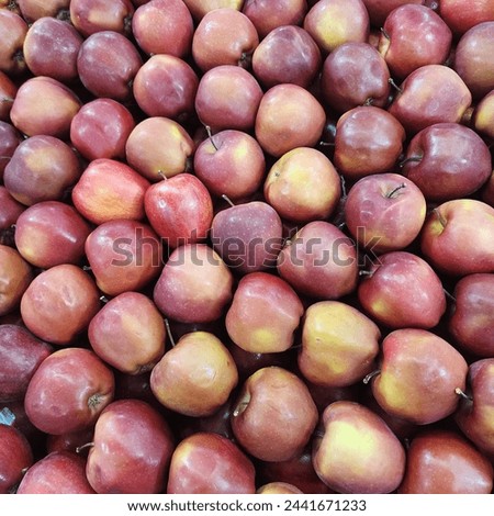 Red ripe apples. apple background. juicy .fresh. tasty . pictured in Saudi Arabia 