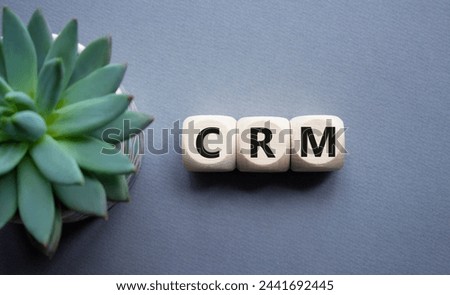 CRM - Customer relationship management symbol. Concept word CRM on wooden cubes. Beautiful grey background with succulent plant. Business and CRM concept. Copy space.