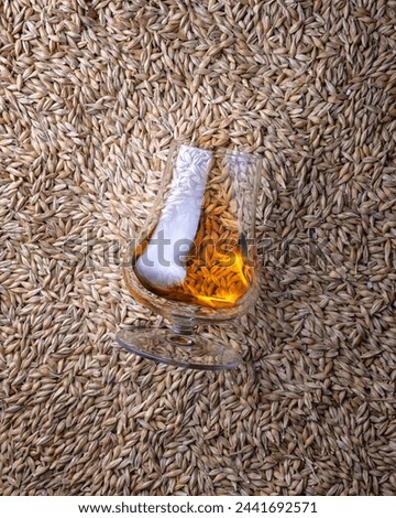 A glass of whiskey on barley grains as background, top view Royalty-Free Stock Photo #2441692571