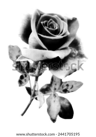 Rose halftone collage element. Vintage punk dotted flower in bloom with stem, retro modern floral clip art for mixed media design. Vector illustration isolated on transparent background