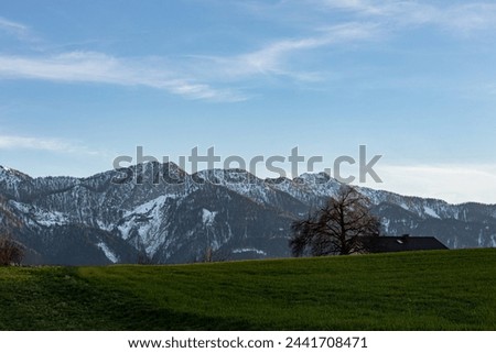 Austrian Alps in spring Karawanken ridge in Carinthia at sunset with a green field in the foreground Royalty-Free Stock Photo #2441708471