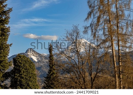 Austrian Alps in spring Karawanken ridge in Carinthia at sunset through the trees in the foreground Royalty-Free Stock Photo #2441709021