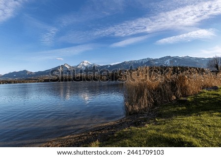 Austrian Alps in spring Karawanken ridge in Carinthia at sunset with lake Faaker See and reeds in the foreground Royalty-Free Stock Photo #2441709103