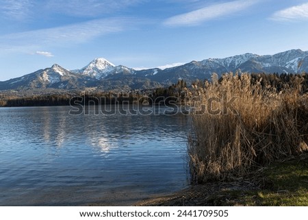 Austrian Alps in spring Karawanken ridge in Carinthia at sunset with lake Faaker See and reeds in the foreground Royalty-Free Stock Photo #2441709505