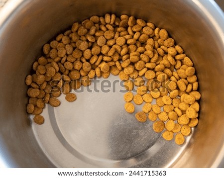 Dog, Cat, Pet Food Bowl, Instant Meal, Kibble, Canine, Kitten, Doggy Dish