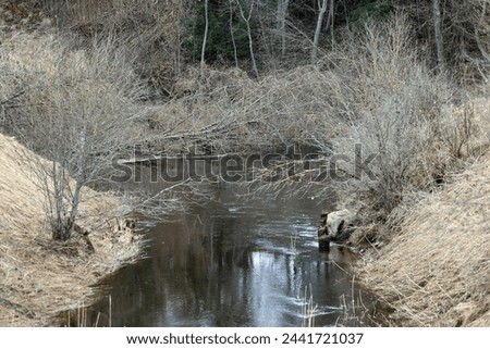 a stream full of spring flood waters in the river