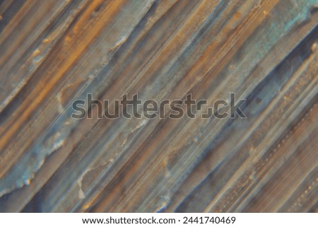 background of stripes, background in pastel colors, lines, striped background, beige lines, parallels, beige color, somewhat pleasant background
