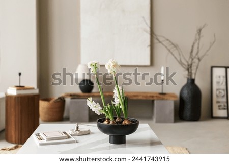 close up details flowers hyacinth in Interior design of aesthetic and minimalist living room with boucle armchair, wooden coffee table, pedant lamp, beautiful leafs in vase, personal accessories.