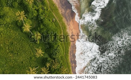 Aerial drone shot over a tropical island beach in Sri Lanka, showing gentle waves washing ashore, a golden sandy beach, and lush green tropical vegetation. 