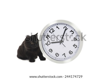 Cute black cat standing against a clock against a white background