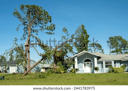 Uprooted tree after hurricane on Florida home front yard. Aftermath of natural disaster concept Royalty-Free Stock Photo #2441783975