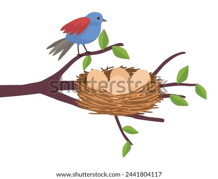 Mother bird and bird nest with eggs on the tree branch