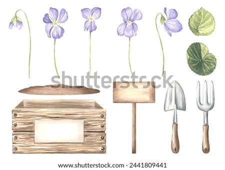 Watercolor set of wild violets with leaves, crate with soil, gardening tools and signboard. Isolated hand drawn illustration spring flowers. Floral clip art for cards, packaging and sticker, florists.