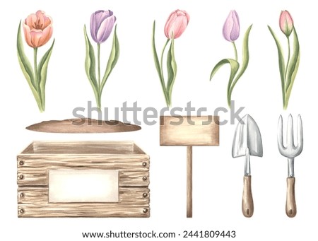 Watercolor set of tulips flowers with leaves, crate with soil, gardening tools and signboard. Isolated hand drawn illustration spring flowers. Floral clip art for card, packaging and sticker, florists