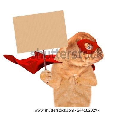 Funny Mastiff puppy wearing superhero costume looks away on empty space and shows empty placard. Isolated on white background.