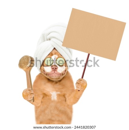 Smiling Mastiff puppy with towel on it head, with cream on it face holds showeer brush and shows empty placard. isolated on white background.