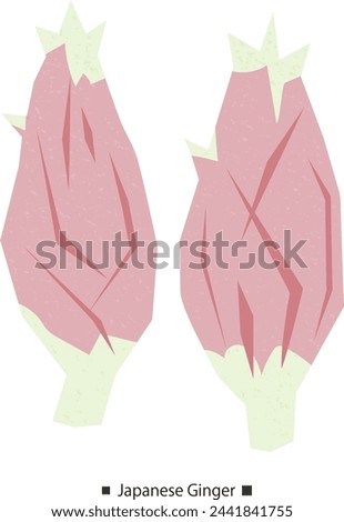 Simple vector illustration with textured Japanese ginger. Royalty-Free Stock Photo #2441841755