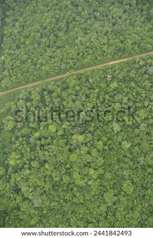 an ariel view of the jungle rain forest canopy and dirt road in Toledo District, Southern Belize, Central America with tree tops in lush green taken from a light aircraft