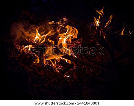 A fire in a campfire
