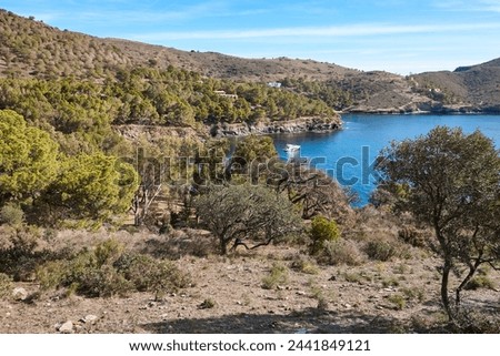 Mediterranean coastline. La Pelosa beach. Montjoi cove. Girona, Catalonia. Spain Royalty-Free Stock Photo #2441849121