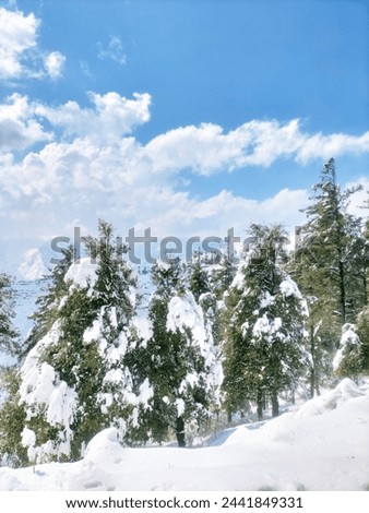 This is a picture I captured in the winter season in dir lower Pakistan During heavy snowfall ,the trees are covered with snow .What !a scenery is this .Clouds gives extra beauty look.